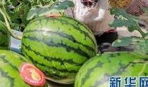 今日911吃瓜爆料最新消息,揭秘今日最新热点事件内幕