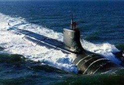 德国爆料海狼视频大全集,震撼视频大全集深度解析