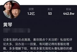 最新爆料黄琴视频,揭秘背后惊人真相