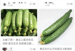 黄瓜特效爆料视频大全,揭秘神奇美容秘诀