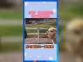 吃瓜群众娱乐素材网站,吃瓜群众独家娱乐素材大揭秘