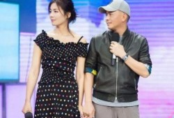 刘涛老公爆料最新,揭秘明星夫妻背后的真实生活