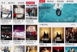 久久美剧在线观看,畅享海量优质剧集的影视天堂