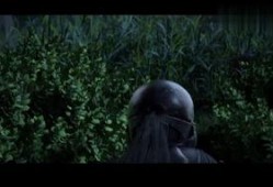 在线观看领域,探索在线观看的无限魅力