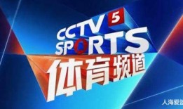 中央四套直播在线观看四,实时掌握国内外资讯，一键在线观看