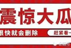吃瓜娱乐集网页,揭秘娱乐圈幕后故事，带你领略明星生活点滴