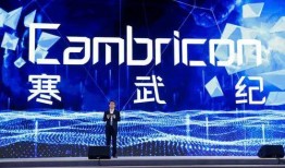 寒武纪13集在线观看