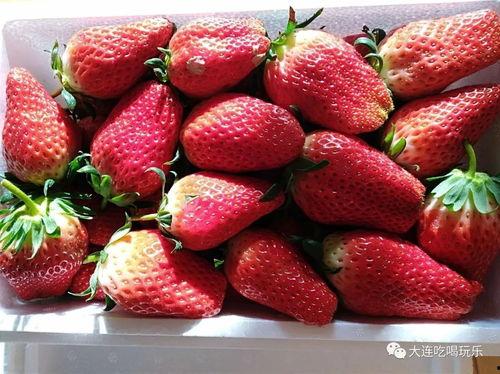 娱乐吃瓜君草莓